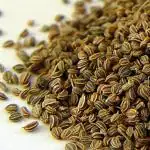 Celery Seeds - 500 gram