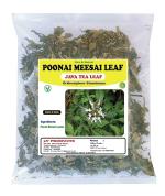 3V Products Dried Poonai Meesai Orthosiphon Stamineus, 50 G (Pack Of 2)