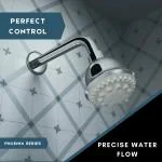 ZAP Phoenix Series Chrome Finish Overhead Shower 9 inch