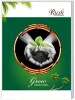 Rush Semi Rough A4 Notebook Ruled (268 Pages) - Pack of 3