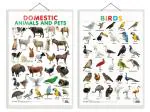 GO WOO Combo of 2 Domestic Animals and Pets and Birds Educational Posters | Charts for Kids