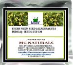 MGBN THE PATH FOR THE HEALTHIER LIFE WITH BEAUTY Fresh Neem Seed - 250 g (with Free Plant Seeds)