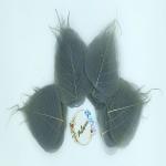 Palesaa SHADED NATURAL SKELETON LEAVES FOR CRAFT DECOR DIY PACK OF 50 COS BRIGHT CROME Artificial Plant (10 cm, Black)