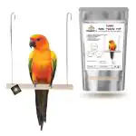 Wiggleboo Bird Swing Wire Toy Hanging Cage Toy For Exercise Swinging Rocking And Chewing Large