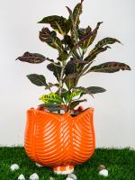 Justoriginals Orange Ceramic Flower Pot
