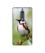 Casotec Bird Pattern Design Printed Silicon Soft TPU Back Case Cover for Nokia 5