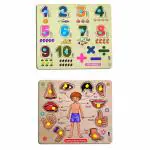 Enorme Mini Wooden Human Body Parts and Numbers Puzzle with Knobs, Educational and Learning Game For Kids
