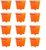 GreenLove New Gardening Small Plant Containers Gamla Flower Pot Plant Container Set (Pack Of 12, Plastic)