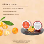 NATUUR - Orange Lip Balm - 15g | Nourishes and Hydrates Lips | Chemical-Free Formula | Suitable for All Skin Types | Lighten Skin Tone and Improves the Lip Texture I Prepared with natural plant butters - shea and cocoa