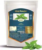 Biotic Mint Powder - Pudina leaf powder - Pudina leaves powder - Fresh Mint Leaf Powder - 100g