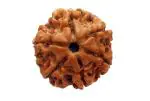 Feel Touch Mart 6 Mukhi Rudraksha Lab Certified Real Chah Mukhi Genuine Natural Nepal Six Face Brown Round Bead Nepali Six Face Original Rudraksha for Men & Women by