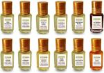 ZOOHI Perfume Attar for men and women 3ml (Pack of 12) Floral Attar (Floral, Citrus, Fruity, Sandalwood, Rose, Mogra, Musk, Kewda, Blue Lotus, Agarwood, Leather, Spicy)
