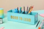 DUDKI Desk Organizer With 4 Compartment Born to Lead Office Desk & Study Table Organizer(AQUA)