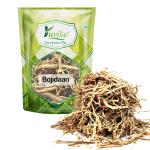 YUVIKA Bojidaan - Bojidan - Tanacetum umbelliferum - Pyrethrum Indicum - Senega Roots (200 Grams)