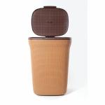 Regalo Big Size Multipurpose Laundry Basket/Bin/Bucket With Lid For Toy/Cloth/Multi-utility Storage
