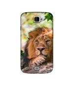 Casotec Tiger Pattern Print Design Printed Silicon Soft TPU Back Case Cover for Xolo Q1000 Opus