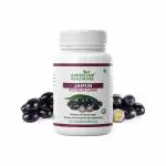 AAROGYAM HEALTHCARE Jamun Capsules - Natural Dietary Supplement for Blood Sugar Management, Digestion, and Antioxidant Support - Syzygium cumini Extract - 60 Capsules