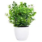 Cute Artificial Plants Bonsai Potted Plastic Faux Grass Fake Topiaries Shrubs for Home, Washroom and Office Decor (Green)