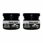 EARTH KING Pure Shilajit/Shilajit Resin (Semi Liquid) Shilajit | Shilajeet - 20Gm (Pack of 2)
