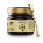 Shree Dhanwantri Herbals Indish Pure Shilajit Resin Form 15 gm