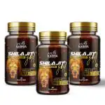 AYUKARMA Shilajit Gold Capsule for men Powerful blend of 24k Gold For Power, Strength & Stamina 90 Capsule (Pack of 3)