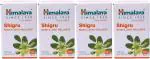 Himalaya Wellness Pure Herbs Shigru Bone & Joint Wellness Tablet Ayurvedic Medicine (4 Packs, 60 Tabs Each)