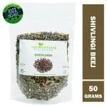 Shudh Online Shivlingi Seed (50g), Sivalingi Bij, Shivling beej, Shivlangi seeds, Shivalinga