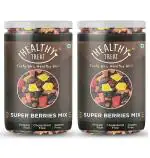 Healthy Treat Super Berries Mix (500 gm) (Pack of 2 - 250 gm Each)| 7+ Varieties like Cranberries, Blueberries, Strawberries, Dried Cherries, Black Current, Raisins, Dried Mango | Gluten Free , Vegan