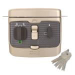 Godrej Locks Pentabolt Aries 1CK Deadbolt Lock with Inside Opening Mechanism (Vegas Gold)
