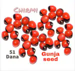 SS520 Lal Rakt Chirmi Gunja Ratti Beads 51 Seed for Lakshmi Mahakali Saraswati Puja Pure Red Rosery Pia Seeds