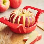 PG HOME PRODUCTS Apple Cutter-8 Blade Stainless Steel Apple Slicer Corer Fruit Cutter Plastic Grip Handle-Pack of 1