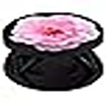 eggshell Beautiful Flower Finger Grip Stand Premium Foldable Phone Socket Galaxy Matte Back Holder Finish Effect Expanding Compatible All Basic Cell Phone & Tablets (Light Pink Dahlia Flower)