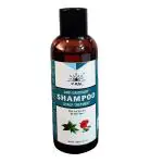 P-RAL Anti Dandruff Shampoo Scalp Tretment with Tea Tree Oil |All Hair Type 100 ML |Pack of 1