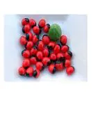 Pmw - ROSARYPEA - CHANOTHI-GURI GUNJA - LATUMONI - GUMCHI - CRABSEYE - Damage Checked - Set Of 51 Seeds - Loose Packed