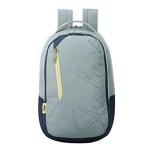 SKYBAGS Campus Grey Logo Print College Laptop Backpack 30L