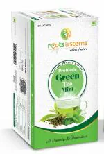 Roots and Stems Probiotic Green Mint Tea, 60 g