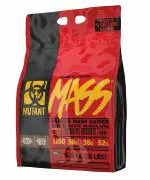 BIGNLEAN.COM Mutant Mass Muscle Mass Gainer - 6.8 kg (Triple Chocolate)