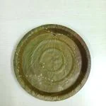 Odiplantz Sal leaf Plates 100Pcs from Odisha for Prasadam