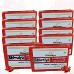 Shiwalya Strawberry Skin Soap - Handmade,100% Pure, Natural & Cold Processed Premium & Luxurious Soap with Essential Oils, Exotic Herbs & Aroma,| Pack of 10 Each 125gm |