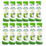 CoCo Amrit 100% Natural Coconut Water - Pure Hydration Elixir, Unadulterated Tropical Bliss, No Additives or Preservatives - 12-Pack