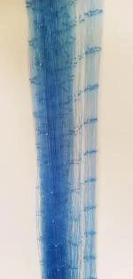 Das Departmental Store's 40 feet long, 4 finger Pass fishing net for stable water fish trapper.