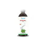 Sampuran Swadeshi Bhumi Amla - Beneficial in Liver Health, Digestion, and More