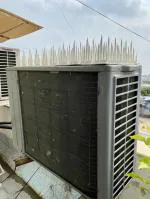 PIGEONO Bird Spikes for Pigeon Control