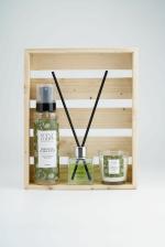 SCENTFOLIO TERRAROMA HOME AROMA KIT