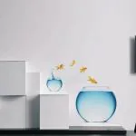 Rawpockets Bed Room Fish Pot