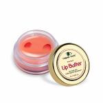 Organic Netra Premium Lip Butter With Rose Petals For Chapped Lips & Lip Lightening - 8 Gm