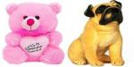 Saubhagye Multicolor Someone Special with Pug Dog Teddy Bears Soft Toys, size-30 cm for 1 year and above (pack of 2)