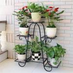 Rose Gold 6-Tier Plant Stand Vertical Indoor Planter Display Multiple Flower Pots Shelf Outdoor Decorative Rack for Garden Terrace Balcony Patio- (Black, Pack of 1)