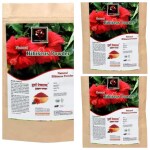 Durva Naturals Herbal Hibiscus Powder 300gm | Pack of 3x100g | younger Skin | healthy growth of Hair 