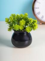 Market 99 Black Round Plastic Flower with Pot